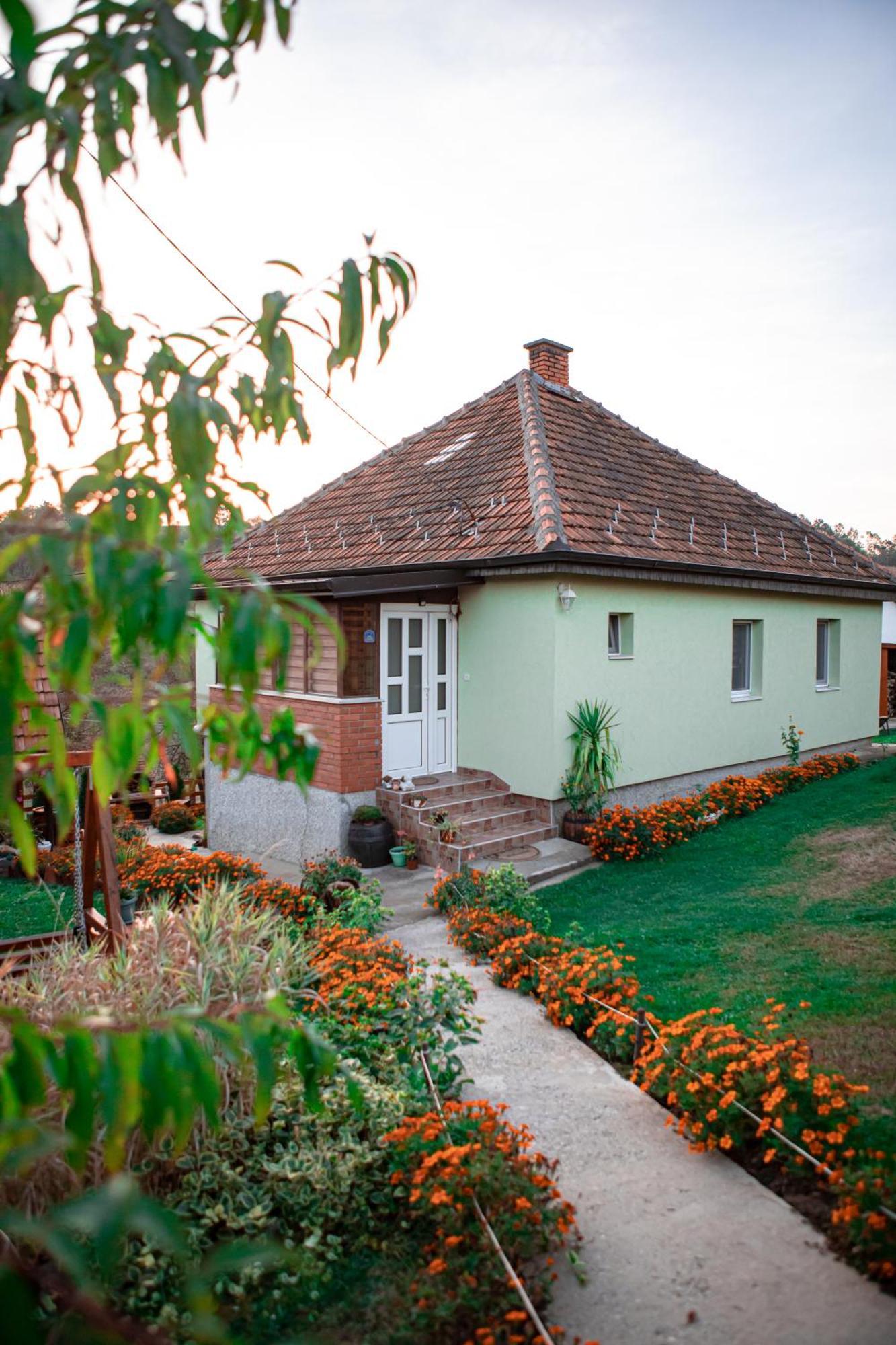 Prenociste Lelic Villa Valjevo Dış mekan fotoğraf